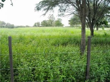 VENTA DE ESTANCIA EL PORVENIR- 200 HAS, J.CASTELLI -PROVINCIA DE CHACO