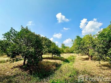 Land for sale in Sarika, Nakhon Nayok