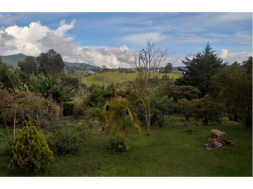 VENTA FINCA 5415 mts2 MARINILLA SECTOR ALTO DEL MERCADO - D