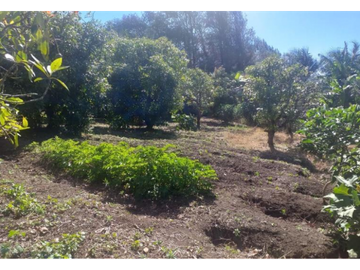 VENTA FINCA 5415 mts2 MARINILLA SECTOR ALTO DEL MERCADO - D