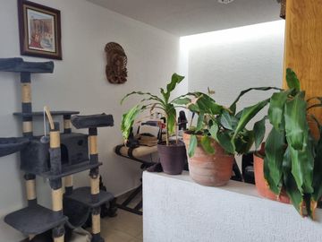 Casa en Venta en Privada en Cumbres del Lago Juriquilla