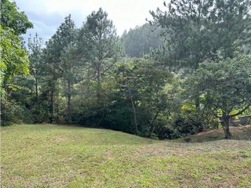 ALTOS DEL MARIA | SE VENDE | TERRENO | 1,017 M2 | ULTIMO PRECIO