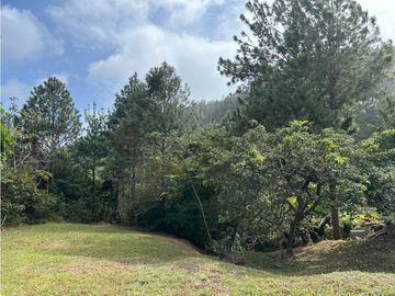 ALTOS DEL MARIA | SE VENDE | TERRENO | 1,017 M2 | ULTIMO PRECIO