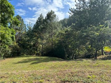 ALTOS DEL MARIA | SE VENDE | TERRENO | 1,017 M2 | ULTIMO PRECIO