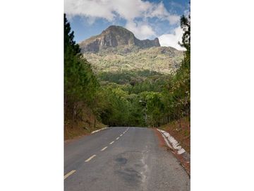 ALTOS DEL MARIA | SE VENDE | TERRENO | 1,017 M2 | ULTIMO PRECIO