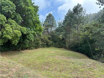ALTOS DEL MARIA | SE VENDE | TERRENO | 1,017 M2 | ULTIMO PRECIO