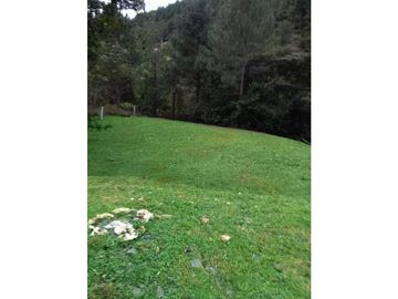 ALTOS DEL MARIA | SE VENDE | TERRENO | 1,017 M2 | ULTIMO PRECIO