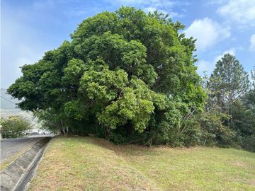 ALTOS DEL MARIA | SE VENDE | TERRENO | 1,017 M2 | ULTIMO PRECIO