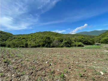 Terreno en venta en Morelos Tlalquitenango