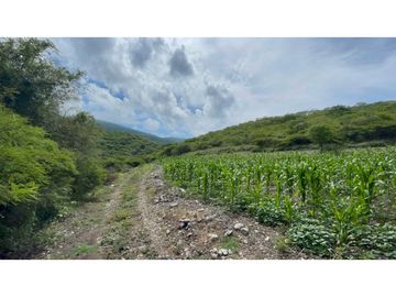 Terreno en venta en Morelos Tlalquitenango