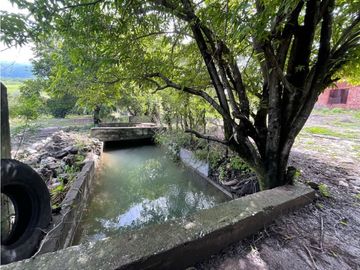 Terreno en venta en Morelos Tlalquitenango