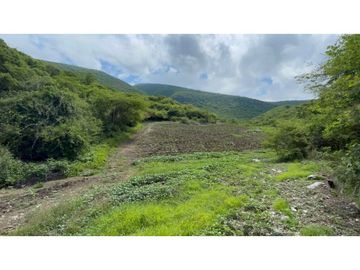 Terreno en venta en Morelos Tlalquitenango