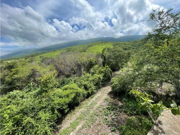 Terreno en venta en Morelos Tlalquitenango