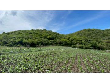 Terreno en venta en Morelos Tlalquitenango