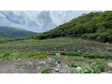 Terreno en venta en Morelos Tlalquitenango