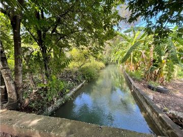 Terreno en venta en Morelos Tlalquitenango
