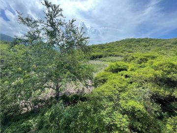 Terreno en venta en Morelos Tlalquitenango