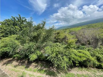 Terreno en venta en Morelos Tlalquitenango
