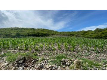Terreno en venta en Morelos Tlalquitenango