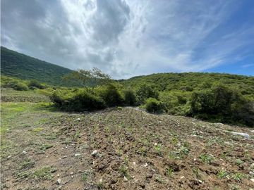 Terreno en venta en Morelos Tlalquitenango