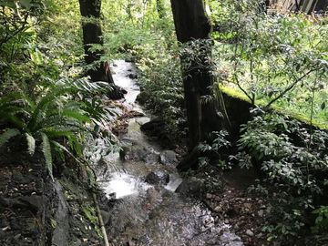 Casa en Condominio en Valle de Atongo, Tepoztlán