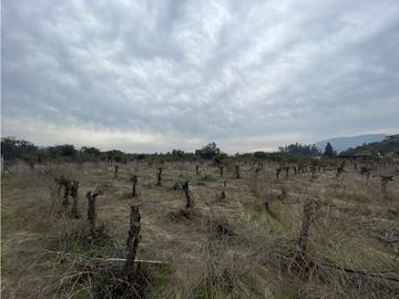 CASABLANCA / COND. TERRA CASABLANCA / 5.800 M2