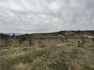 CASABLANCA / COND. TERRA CASABLANCA / 5.800 M2