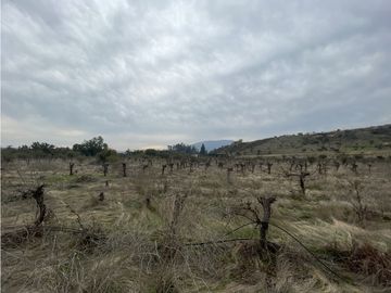 CASABLANCA / COND. TERRA CASABLANCA / 5.800 M2