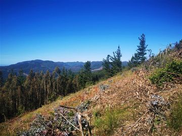 Parcela en Venta en Chovellen