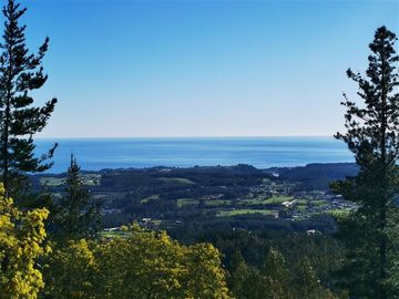 Parcela en Venta en Chovellen