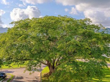 Casa en venta Bucerias Nayarit