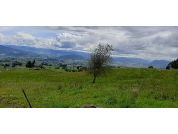 Se vende excelente finca en Cogua Cundinamarca