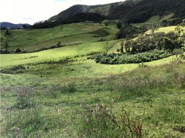 Se vende excelente finca en Cogua Cundinamarca