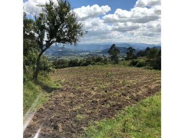 Se vende excelente finca en Cogua Cundinamarca