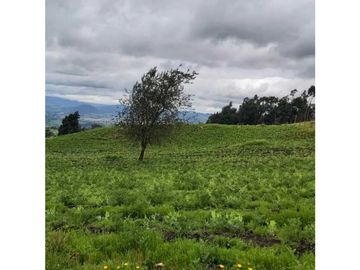 Se vende excelente finca en Cogua Cundinamarca