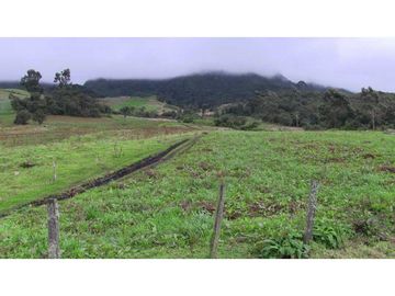 Se vende excelente finca en Cogua Cundinamarca