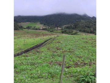 Se vende excelente finca en Cogua Cundinamarca