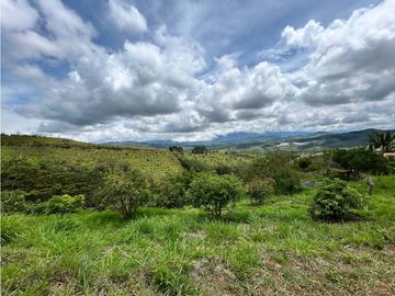 SE VENDE FINCA/LOTE EN VIJES- VALLE DEL CAUCA