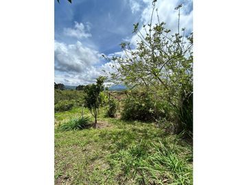 SE VENDE FINCA/LOTE EN VIJES- VALLE DEL CAUCA