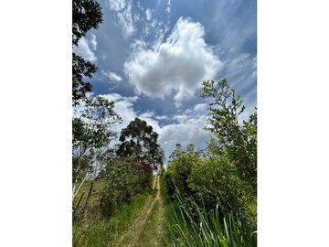 SE VENDE FINCA/LOTE EN VIJES- VALLE DEL CAUCA