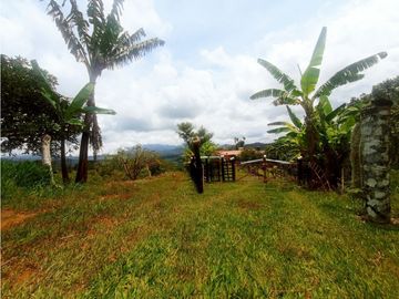 SE VENDE FINCA/LOTE EN VIJES- VALLE DEL CAUCA