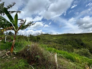 SE VENDE FINCA/LOTE EN VIJES- VALLE DEL CAUCA