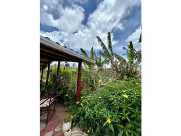 SE VENDE FINCA/LOTE EN VIJES- VALLE DEL CAUCA