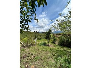 SE VENDE FINCA/LOTE EN VIJES- VALLE DEL CAUCA