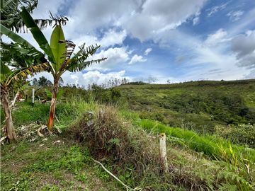 SE VENDE FINCA/LOTE EN VIJES- VALLE DEL CAUCA