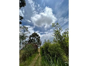 SE VENDE FINCA/LOTE EN VIJES- VALLE DEL CAUCA