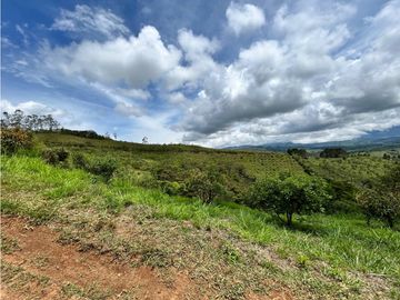 SE VENDE FINCA/LOTE EN VIJES- VALLE DEL CAUCA