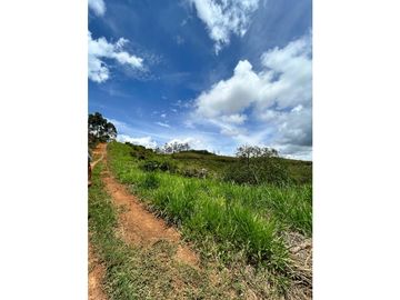 SE VENDE FINCA/LOTE EN VIJES- VALLE DEL CAUCA
