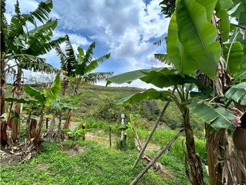 SE VENDE FINCA/LOTE EN VIJES- VALLE DEL CAUCA