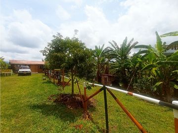 SE VENDE FINCA/LOTE EN VIJES- VALLE DEL CAUCA